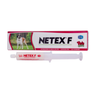Netex F