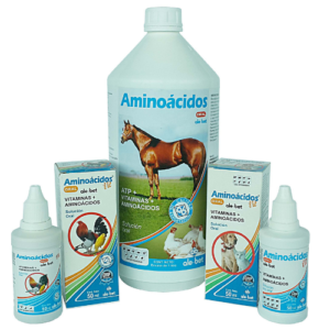 Aminoácidos orales