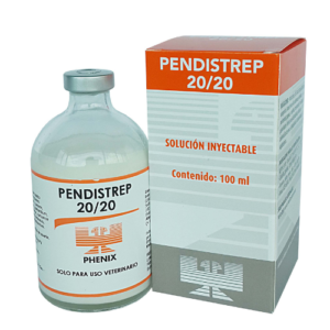 Pendistrep 20-20