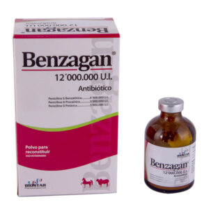 Benzagan